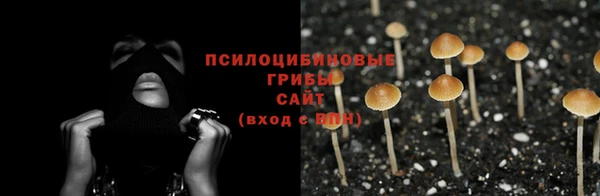 mix Богородицк