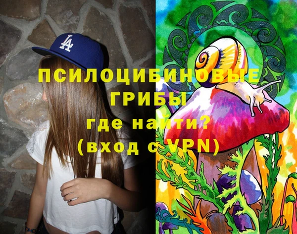 mix Богородицк